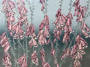 Aileen Brown (1946-), Pink Heath, 1990, 12/50. Lioncut print on paper - 2