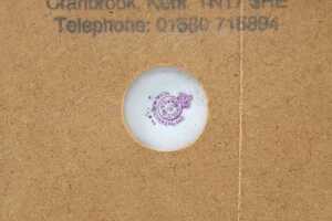 Royal Worcester hand-painted porcelain plaque - 3