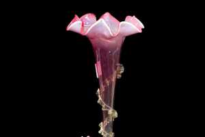 Victorian cranberry cased glass four trumpet epergne - 2