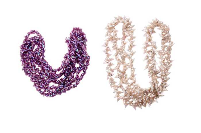 Two strands of Maireener shells