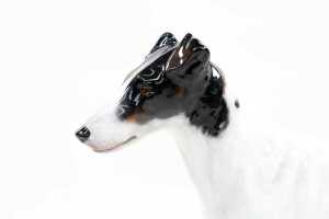 Royal Doulton porcelain Smooth-Haired Terrier Dog figure - 2