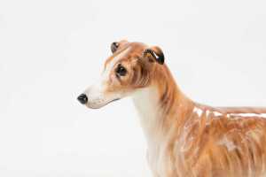 Two Royal Doulton porcelain dog figures - 5