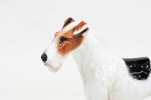 Two Royal Doulton porcelain dog figures - 5