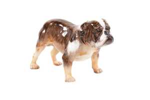Two Royal Doulton porcelain dog figures - 2