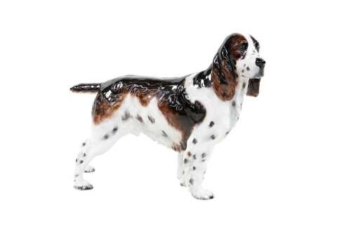 Royal Doulton porcelain Springer Spaniel dog figure