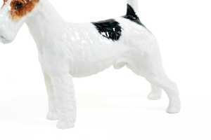Royal Doulton porcelain Wired Haired Fox Terrier dog figure - 3