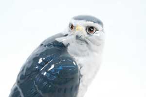 Royal Doulton for Whyte & Mackay 'Merlin' porcelain bird figure - 2