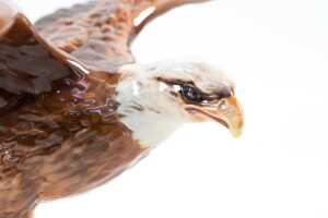 Beswick 'Bald Eagle' porcelain bird figure - 3