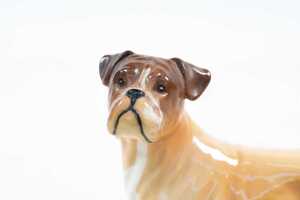 Royal Doulton 'Boxer Dog' porcelain dog figure - 2