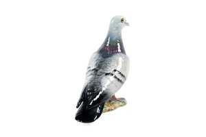 Beswick 'Pigeon' porcelain bird figure - 4