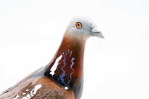 Beswick 'Pigeon' porcelain bird figure - 2