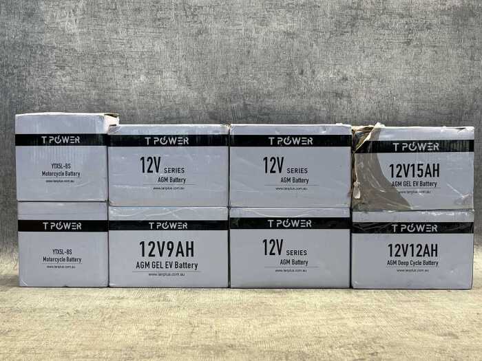 Group of T Power batteries