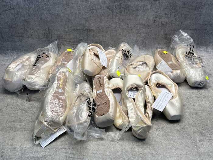 Group of Sansha ballet shoes