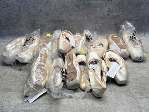 Group of Sansha ballet shoes