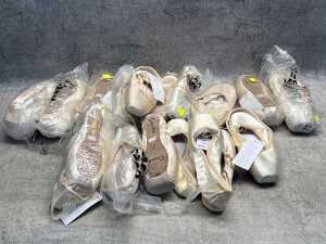 Group of Sansha ballet shoes