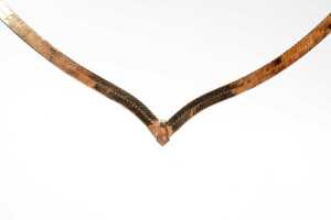 A herringbone necklace in 9 carat yellow gold - 2