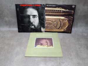 Eight Blues vinyl records, including Rory Gallagher - 3