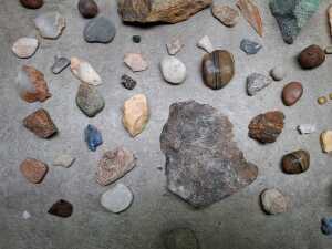 Group of rock and fossil specimens and worked flints - 4