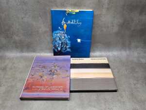 Australian art reference books, including John Borrack, Brett Whiteley - 4