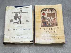 Four Egyptian papyrus paintings - 6