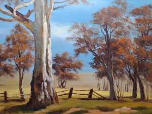 B. Scorey, Australian bush landscape. Oil painting on canvas - 3