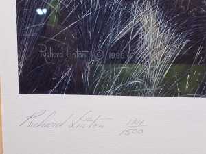 After Richard Linton, The Founding of Melbourne 30th August 1835, 124/1500. Framed print on paper - 3