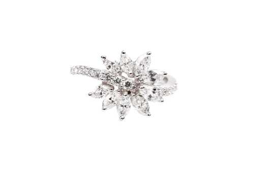 A diamond ring in 18 carat white gold
