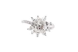 A diamond ring in 18 carat white gold