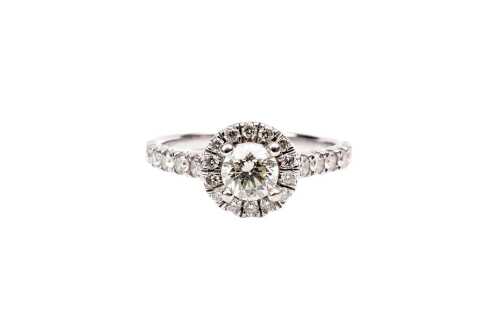 A diamond halo ring in 18 carat white gold