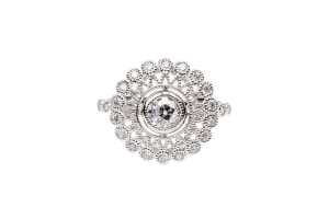 A diamond ring in 14 carat white gold