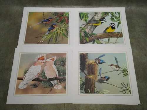 Six Eric Shepherd 'Wildlife Bird' fine prints on Hallmark paper