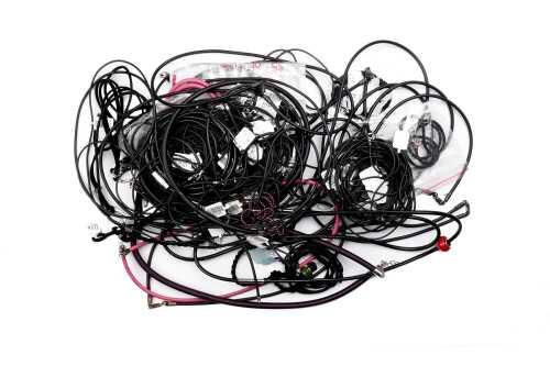 Large group of cord and leather necklaces