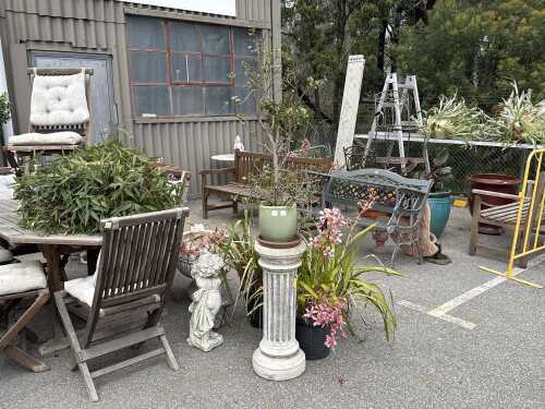 Jade plant on stand