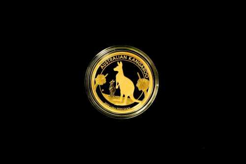 Kangaroo 2020 $25 0.999 gold proof coin, 1/4 ounce