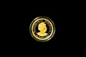 Kangaroo 2020 $25 0.999 gold proof coin, 1/4 ounce - 2