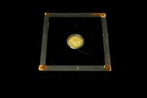 Queen Victoria 200th Anniversary 2019 $25 0.999 gold proof coin, 1/4 ounce - 3