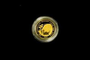 The Australian Nugget 0.999 Gold Coin Series 2001-2005 five 1/25oz coin set totalling $20 and 1/5oz - 4