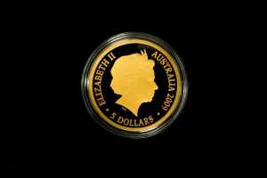 Arctic Explorers International Polar Year 2009 $5 silver gold plated proof coin, 36.31g - 2