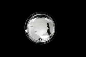 Pavo Southern Sky 2013 $5 silver proof colour printed domed coin, 1oz - 2