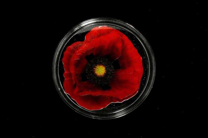 Remembrance Poppy 2017 $5 silver proof-like coin, 1oz