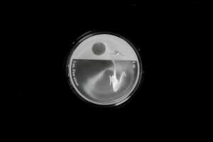 Kangaroo at Sunset F15 Privy Mark 2010 $1 silver brilliant uncirculated coin, 1oz