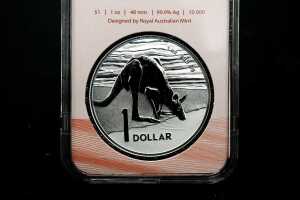 2024 Desert Life one ounce silver coin. - 2