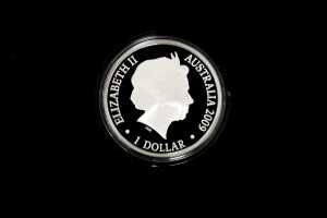 2009 Kangaroo at Sunset one ounce silver coin. - 2