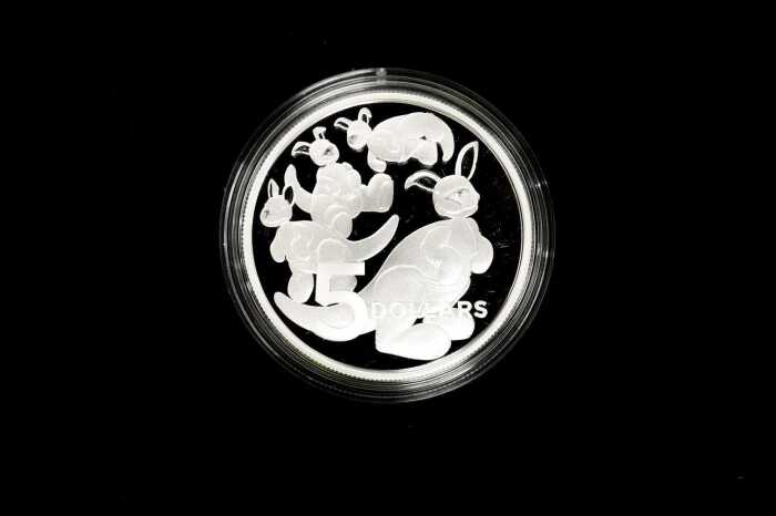 2024 $5 one ounce silver baby coin.