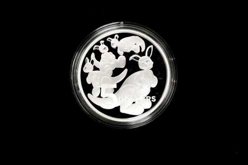 2024 $5 one ounce silver baby coin.