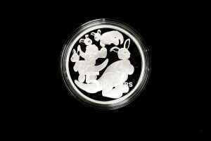 2024 $5 one ounce silver baby coin.