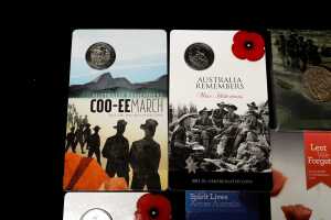 Group of assorted remembrance collectable coins and PNCs - 2
