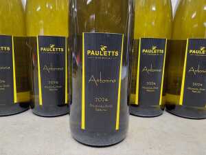 Pauletts Antonina Riesling 2024, six bottles - 2