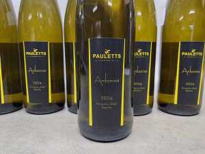 Pauletts Antonina Riesling 2024, six bottles - 2