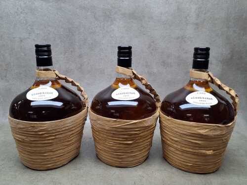 Fiano Winebasket 2023, three bottles